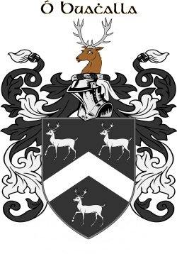 BUCKLEY family crest BUCKLEY family crest