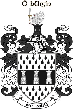 O'HIGGINS family crest O'HIGGINS family crest