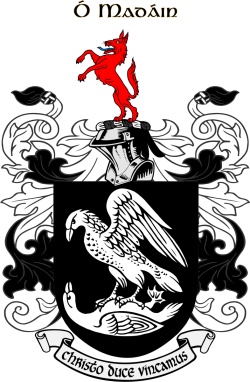 MADDIN family crest MADDIN family crest