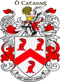 CASEY family crest CASEY family crest