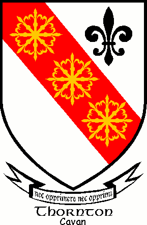 THORNTON family crest THORNTON family crest