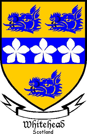 WHITEHEAD family crest WHITEHEAD family crest